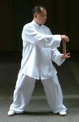 ruler taichi